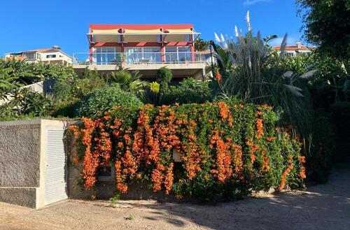 Foto - Ferienhaus in Madeira zu mieten