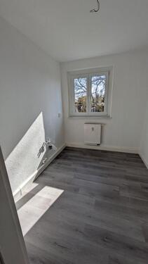 Foto - 1 Zimmer Hochparterre in Dresden