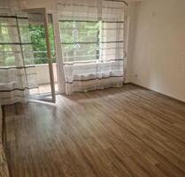 Attraktive barrierefreie 3-Zimmer-Erdgeschosswohnung in Lahr - Lahr (Schwarzwald)