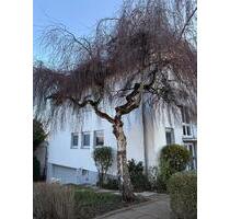 Provisionsfrei großzügige Eigentumswohnung 1.StockDG - Dortmund Aplerbeck