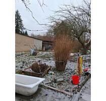 Garten in Angermünde - 2.000,00&nbsp;EUR Kaltmiete, ca.&nbsp; 0,00&nbsp;m&sup2; in Angermünde (PLZ: 16278)