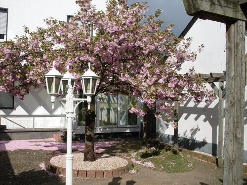 Foto - Dachgeschoßwohnung in Andernach zur Miete