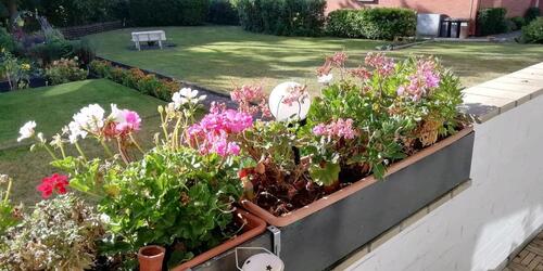 Foto - 3 Zimmer Hochparterre zur Miete in Bremen