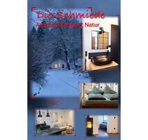 Ferienhaus mit Sauna - 135,00&nbsp;EUR Kaltmiete, in Leun (PLZ: 35638)