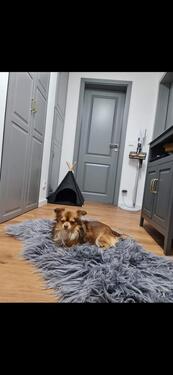 Foto - 3 Zimmer Etagenwohnung in Kelheim