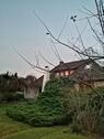 Foto - Einfamilienhaus in Bad Bevensen