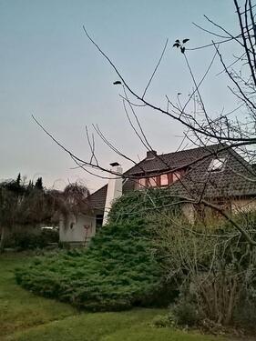 Foto - Einfamilienhaus in Bad Bevensen