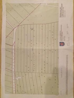 Foto - Waldstück 99869 Eschenbergen - 1.000,00 EUR Kaltmiete, ca.  0,00 m²