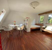 Helles 1 Raum-Appartement möbliert, Wismar Altstadt