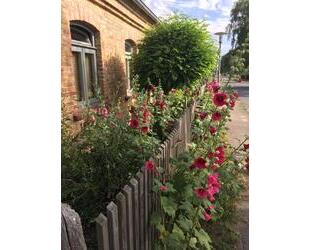 Hübsches Ferienhaus 2-5 Pers. Waren (Müritz) 65m2