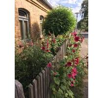 Hübsches Ferienhaus 2-5 Pers. Waren (Müritz) 65m2