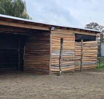 KoppelWieseWeidefläche 3500m2 mit Unterstand(ca75 m2)zur Pacht - Wolmirstedt