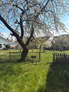 Foto - Schöner Bungalow ca 150qm - 950,00&nbsp;EUR Kaltmiete, ca.&nbsp; 150,00&nbsp;m&sup2;