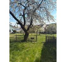 Schöner Bungalow ca 150qm - 950,00&nbsp;EUR Kaltmiete, ca.&nbsp; 150,00&nbsp;m&sup2; in Straubing (PLZ: 94315)