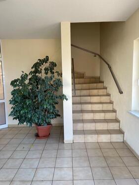 Foto - andere in Neustrelitz