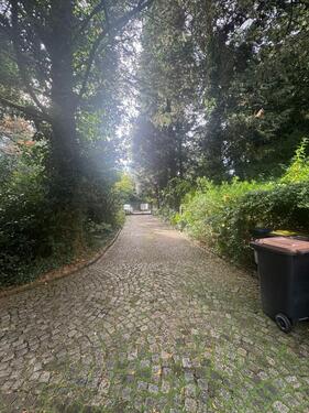 Foto - Natur pur ,mitten im Grünen- Recklinghausen -Ost