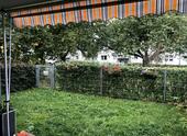 Foto - Tauche 2 Zimmer Wohnung mit Garten und Terrasse