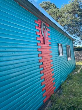 Foto - 2 Zimmer Bungalow in Hodenhagen