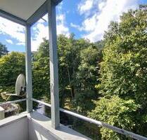 Provisionsfrei: Großzügige 4ZKB-Wohnung (ca.142 m²) mit Parkblick - Bad Wildbad