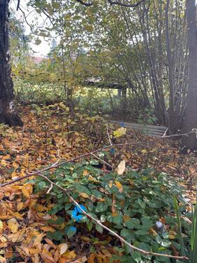 Foto - Einfamilienhaus zum Kaufen in Mittweida