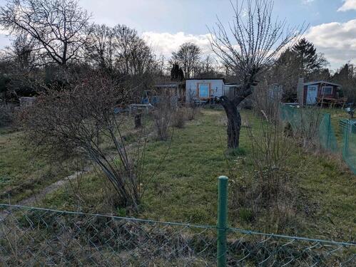 Foto - Pachtgarten in 39114 MD, Berliner ChausseeJerichower Straße