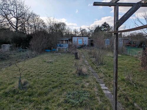 Foto - Grundst&uuml;ck zur Miete in Magdeburg