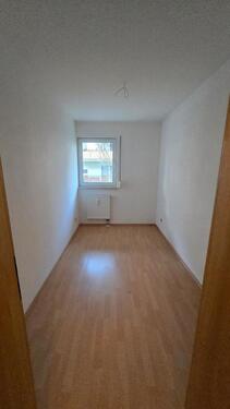 Foto - 3 Zimmer Erdgeschoßwohnung in Pirna