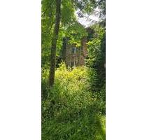Ehemaliges Bahnwärterhaus in ruhige Naturlage- Sanierungsprojekt - Neunburg vorm Wald