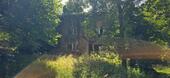 Foto - Einfamilienhaus zum Kaufen in Neunburg vorm Wald