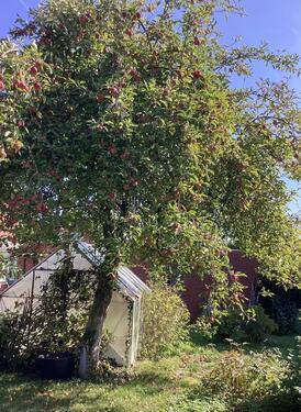 Foto - Einfamilienhaus in Sendenhorst zum Kaufen
