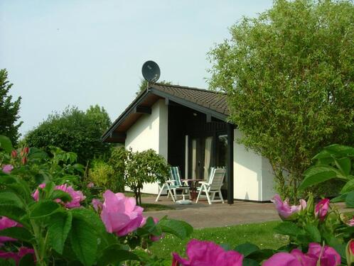 Foto - Urlaub an der Nordsee - Top Ferienhaus - 200 Meter bis zum Meer