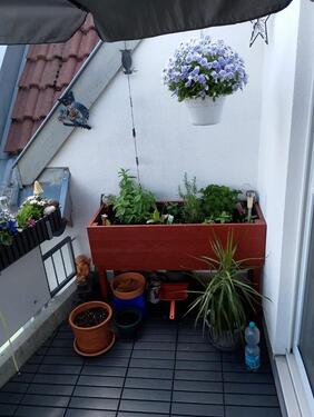 Foto - Willkommen in Ihrem neuen Zuhause.