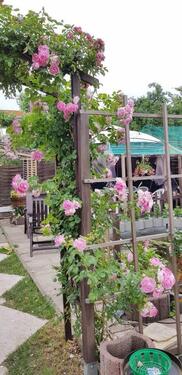 Foto - Pacht Garten abzugeben 1500 € - 1.500,00&nbsp;EUR Kaltmiete, ca.&nbsp; 0,00&nbsp;m&sup2;