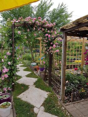 Foto - Grundst&uuml;ck zur Miete in Magdeburg