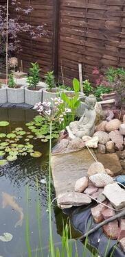 Foto - Grundst&uuml;ck in Magdeburg