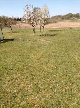 Foto - Doppelhaushälfte zu verkaufen in 17192 klein Plasten