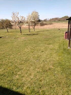 Foto - 4 Zimmer Doppelhaushälfte in Waren (Müritz)