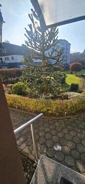 Foto - 2 Zimmer Wohnung - 500,00 EUR Kaltmiete,