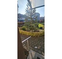 2 Zimmer Wohnung - 500,00 EUR Kaltmiete, in Meinerzhagen (PLZ: 58540)