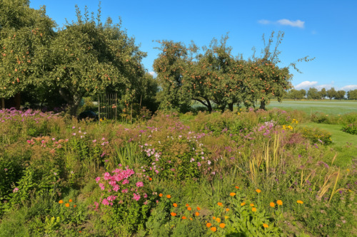 Foto - Einfamilienhaus zum Kaufen in Loitz