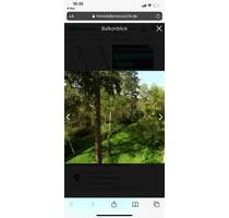 Schöne 2-Zimmerwohnung in Berlin-Steglitz