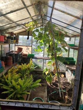 Foto - Grundst&uuml;ck in Bautzen