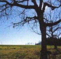 Baugrundstück in Altlandsberg OT Wegendorf - Strausberg