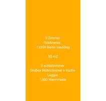 3 zimmer wedding 90m² Beschreibung lesen! - Berlin Mitte