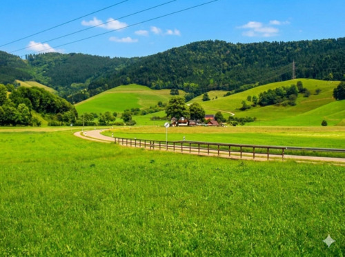 Foto - 2.5 Zimmer Erdgeschoßwohnung in Buchenbach