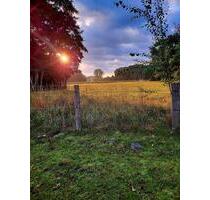 Ferienwohnung in Suderburg - 110,00&nbsp;EUR Kaltmiete, in Uelzen (PLZ: 29525)