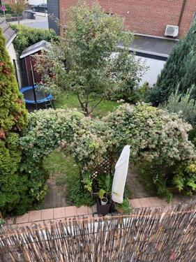 Foto - Etagenwohnung in Langenfeld (Rheinland) zum Kaufen