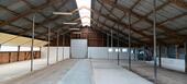 Foto - Stellplatz, Hallenplatz - 70,00 EUR Miete,