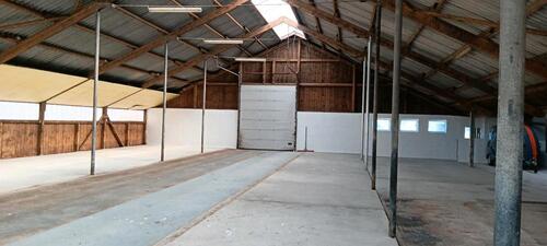 Foto - andere in Horst (Holstein)
