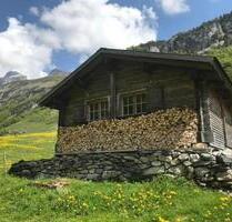 Berghütte im Berner Oberland - 1.192,00 EUR Kaltmiete, in Steinhagen (PLZ: 33803)